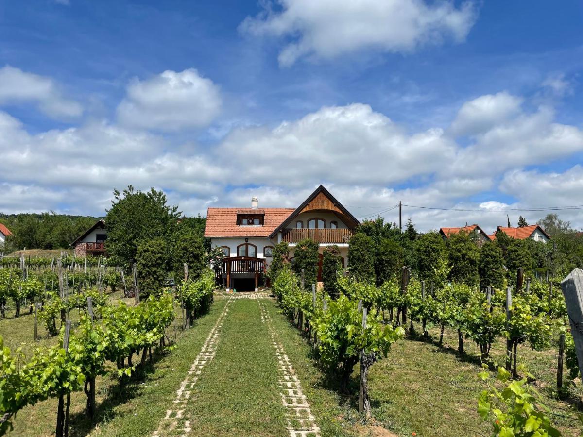 Villa Fuege Vendeghaz Lovas Exterior foto